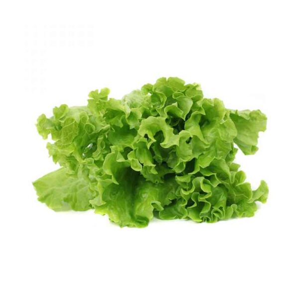 Lehtsalat Jaani Nõmmik