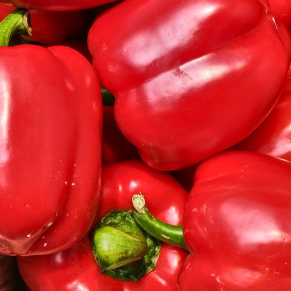 Punane paprika Hispaania