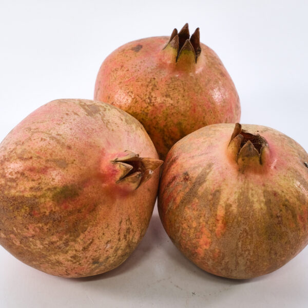 Granaatõun Türgi
