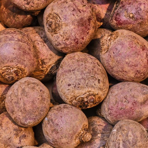 Punapeet Eesti